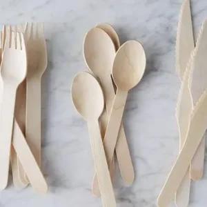 Disposable Cutlery